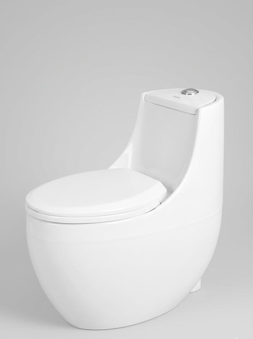 Dolphin Ceto Elite One-Piece Commode with Hydraulic Seat Cover